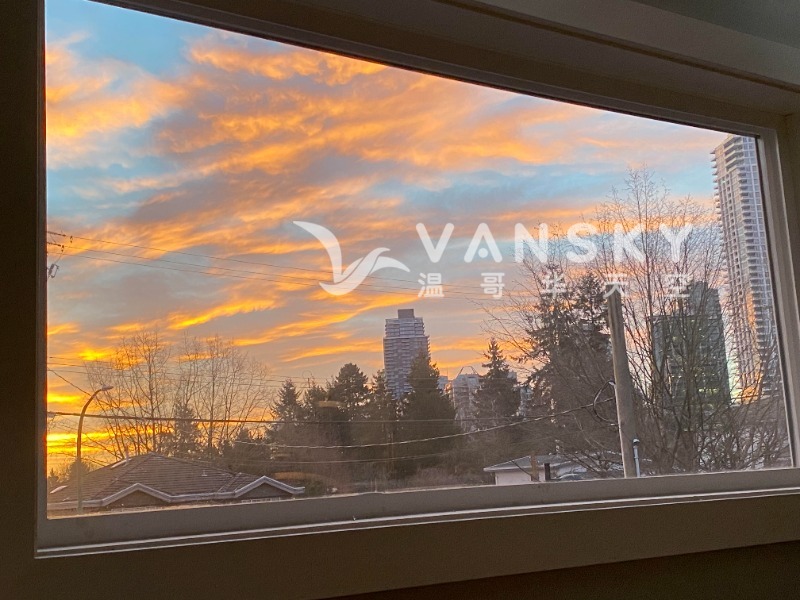 250808201944_View from 2nd floor window.jpg